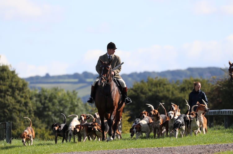 The Cotley trail hunt.